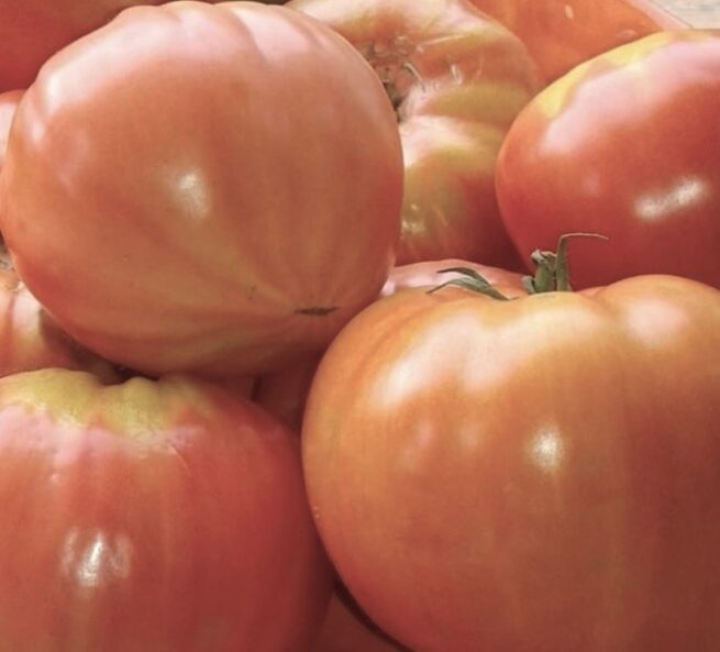 Mamie Brown's Tomato Seeds | Heirloom