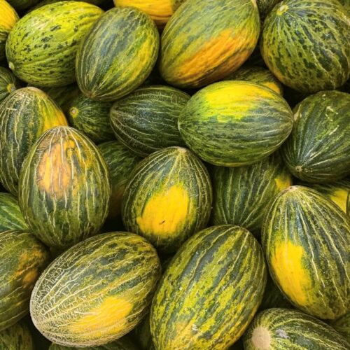 Piel De Sapo Melon Seeds | Heirloom