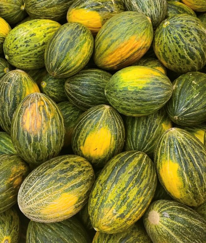 Piel De Sapo Melon Seeds | Heirloom