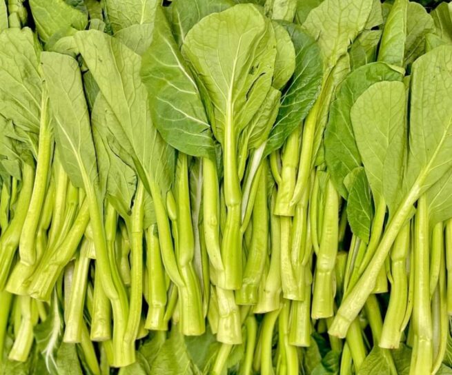 Yu Choy Sum (Jung Green) Seeds