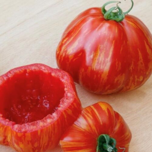 Get Stuffed Tomato Seeds