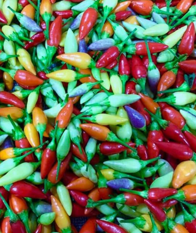 Numex Twlight Pepper Seeds | Hot