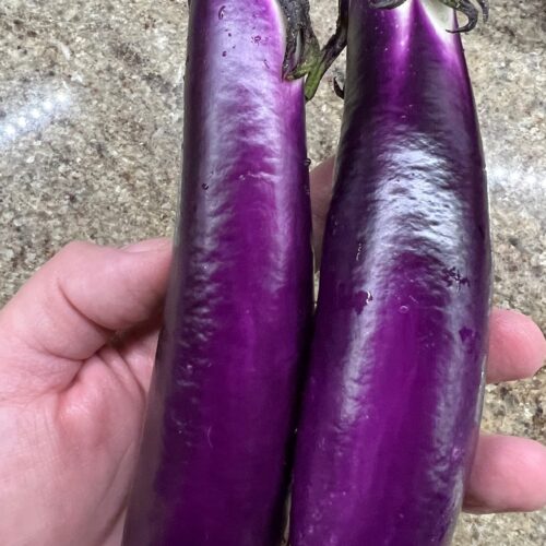 Ping Tung Eggplant Seeds | Heirloom