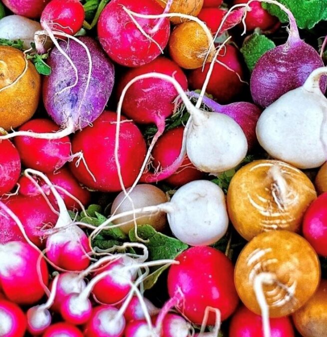 Rainbow Radish Mix | Seeds