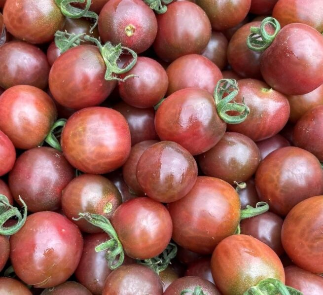 Black Opal Tomato Seeds