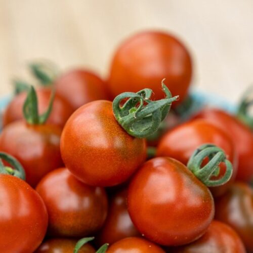 Garnet Tomato Seeds