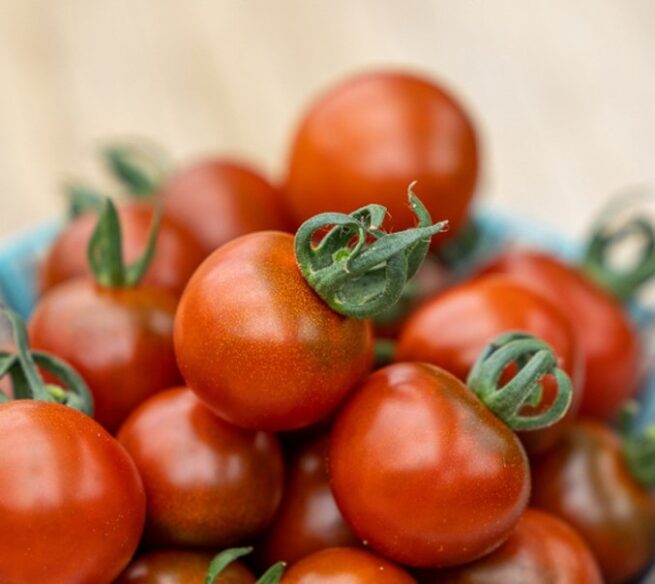 Garnet Tomato Seeds