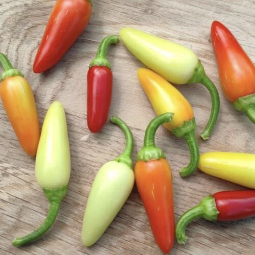 Cascabella (Hot) Pepper Seeds