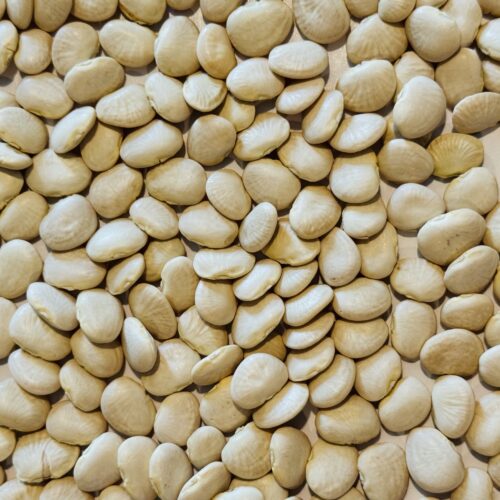 Henderson Lima Bean Seeds