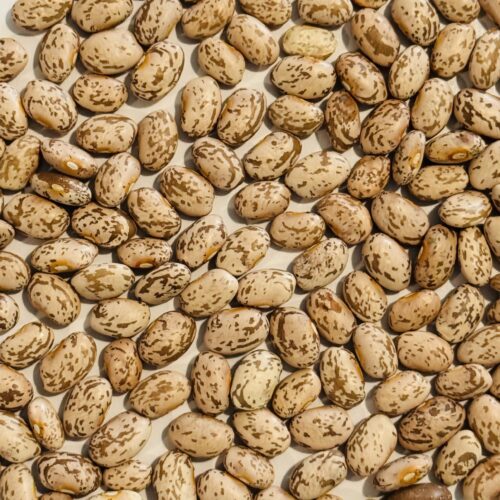 Pinto Bean Seeds | Heirloom