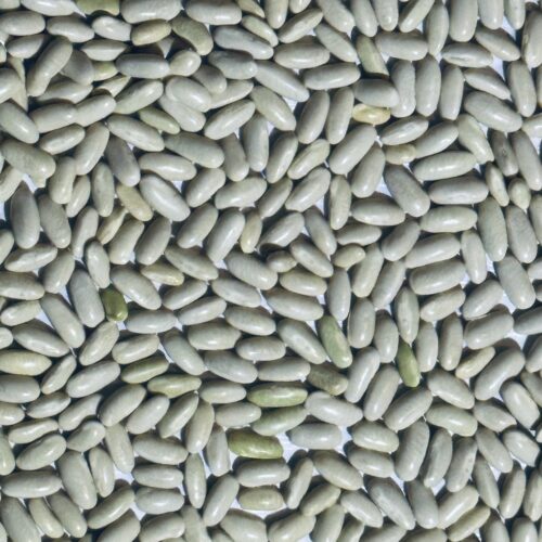 Hungarian Rice Bean Seeds