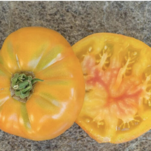 Dwarf Awesome Tomato Seeds