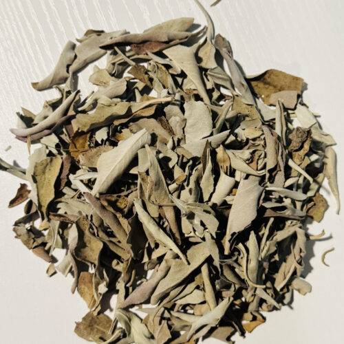 White Sage (Dried Herb) | Organic