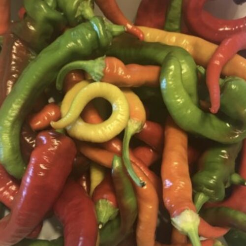 Corbaci (Sweet) Pepper Seeds | Heirloom